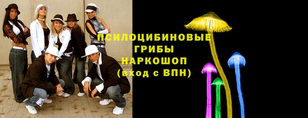 твердый Белокуриха
