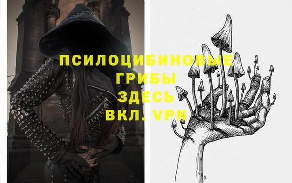 дмт Беломорск