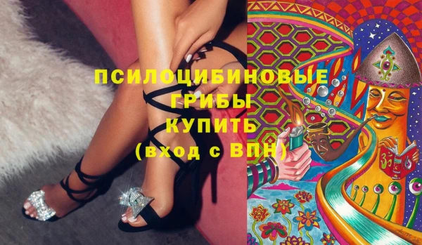 твердый Белокуриха